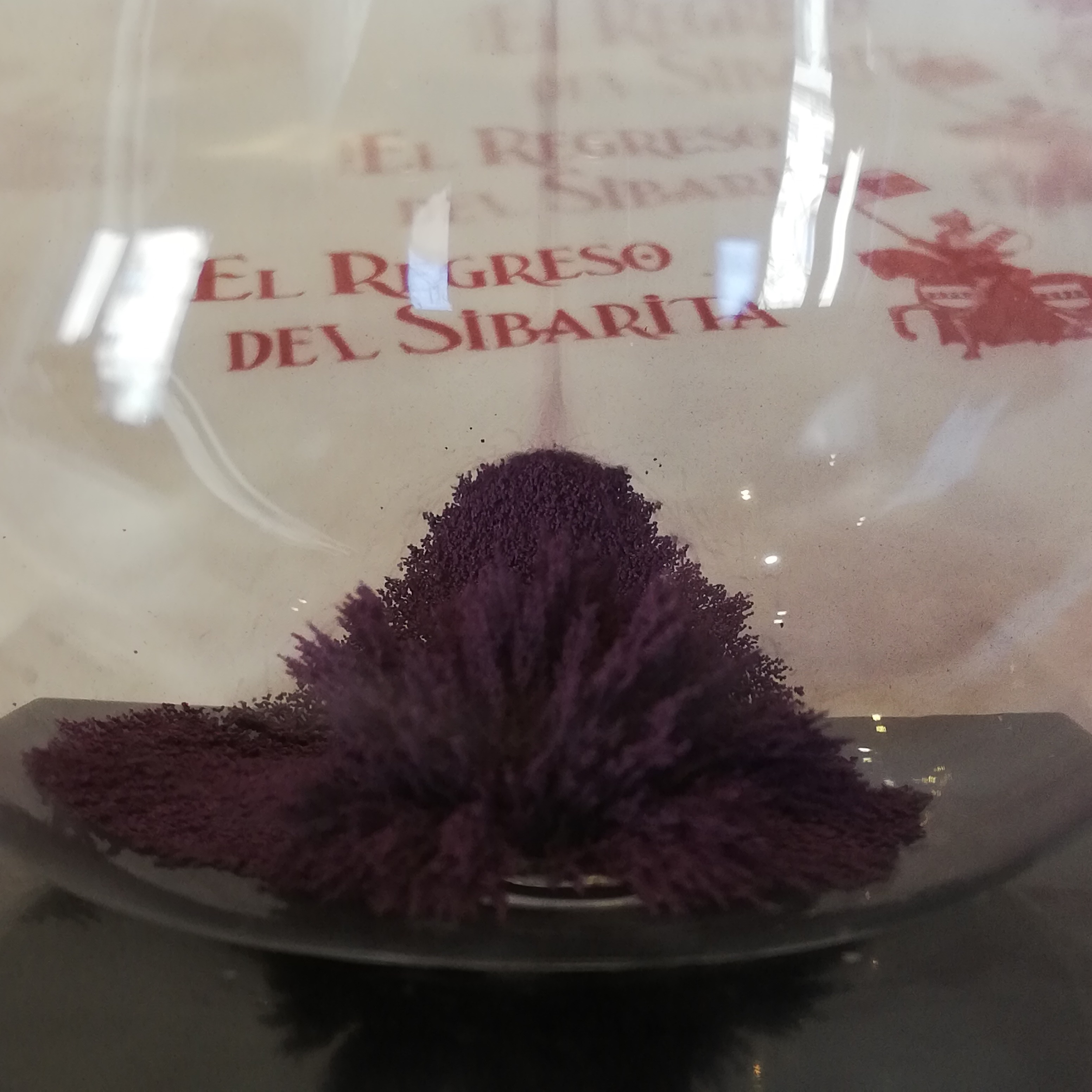 Electro Rub&eacute;n